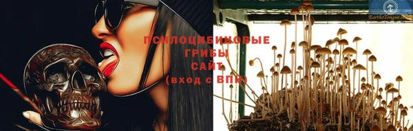 ГАЛЛЮЦИНОГЕННЫЕ ГРИБЫ Балабаново
