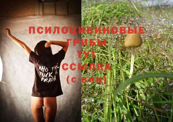 спиды Баксан