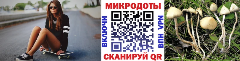 Псилоцибиновые грибы MAGIC MUSHROOMS  где найти   Новоржев 